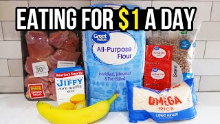 Eating for 1 a Day Cheap and Healthy Meal Ideas You Need to Try [upl. by Janaya]