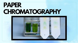 PAPER CHROMATOGRAPHY  CHROMATOGRAPHY  SEPARATION TECHNIQUE [upl. by Enomad662]