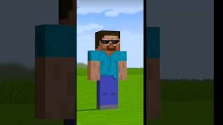 Steve vs Herobrine minecraft [upl. by Jefferson832]