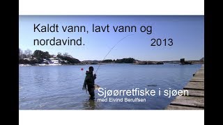 Sjøørretfiske i sjøen  Kaldt vann lavt vann og nordavind 2013 Med Eivind Berulfsen [upl. by Jeri668]