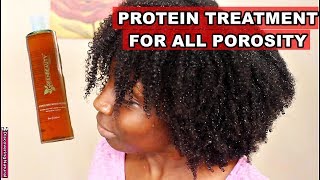 Protein Treatment for ALL Natural Hair Porosity  Green Beauty Protein Treatment [upl. by Nary]