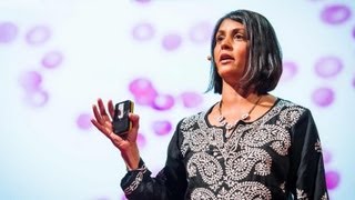 Sonia Shah 3 reasons we still havent gotten rid of malaria [upl. by Aynotahs]