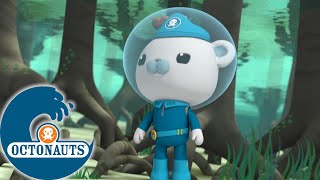 Octonauts  la jungle sousmarine  Dessins animés pour enfants [upl. by Soigroeg929]