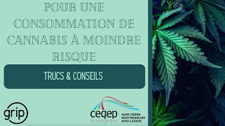 Pour une consommation du cannabis à moindre risque [upl. by Elehcor]