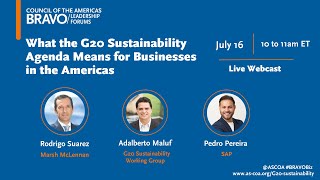 What the G20 Sustainability Agenda Means for Businesses in the Americas [upl. by Lebbie137]