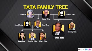 The Tata Family Tree Whats Next For Tata Trusts As Noel Tata Takes Over [upl. by Gamin]