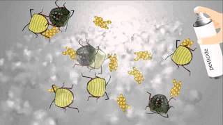 Pest Control  Animated Video for your Product to get business ANIMATION for BUSINESS [upl. by Annemarie595]