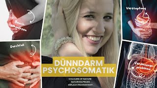 Dünndarm — psychosomatische Bedeutung [upl. by Hafeenah40]