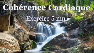 Coherence cardiaque exercice 5 mn [upl. by Akinak]