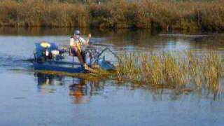 HOCKNEY AQUATUC WEED CUTTER [upl. by Nnylrefinnej671]