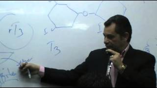 Dr Ahmed Abd El Rahman  Hormones 3  Thyroid Gland  Part 1 [upl. by Adnohsor756]