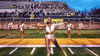 UAPB Band  quotRunnerquot  Homecoming 2024 [upl. by Neely]