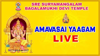 SREE BAGALAMUKHI SARVA DOSHA SHANTHI YAAGAM AMAVASAI YAAGAM  LIVE 31102024 [upl. by Wetzell]