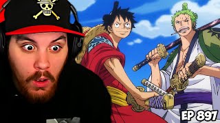 One Piece Episode 897 REACTION  Save Otama Straw Hat Bounding through the Wasteland [upl. by Ettenil636]