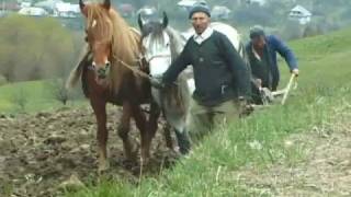 Doc Viata si paste in Maramures di Duccio Pugliese 2  2008  Romania Film East Europe Doc Movie [upl. by Ellinger]