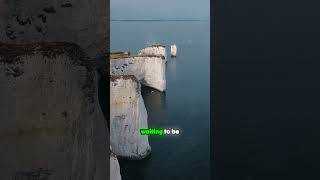 Unearth Ancient Treasures at Møns Klint nature shorts denmark [upl. by Adnahcir]