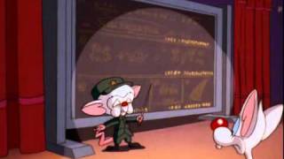 Pinky and the Brain  The Really Great Dictator [upl. by Longfellow]