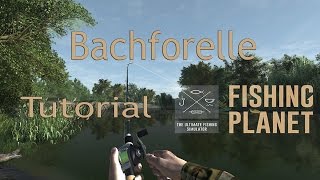 Fishing Planet  Bachforelle Oregon Tutorial German HD Deutsch [upl. by Ziom]