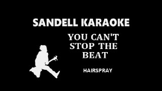 Hairspray  You Cant Stop The Beat Karaoke [upl. by Remas]