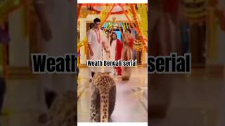 Hats off Bengali serial 😏🤷🏻 roast trinding roasting comedy bongshukto [upl. by Rupert]