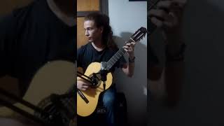 Seminare  Charly García  Serú Giran charlygarcia seminareguitarcover youtubeshort guitarist [upl. by Pulling]