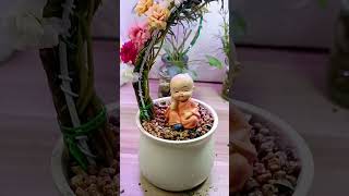 Good idea design planting portulaca flowers gardenflower howtogrowportulaca shorts [upl. by Tressia]