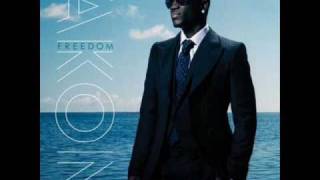 Akon Im So Paid Clean w Lyrics [upl. by Soluk]