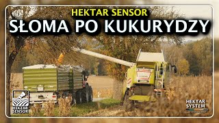 SŁOMA PO KUKURYDZY  HEKTAR SENSOR [upl. by Herriott]