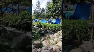 Camping di Mandalawangi Cibodas shorts [upl. by Cirdla]