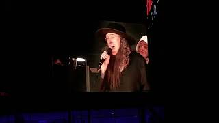 Weird Al Yankovic performing Amish Paradise [upl. by Ennovehc]