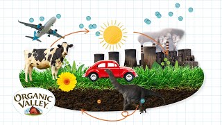 Carbon Sequestration Explained  Ask Organic Valley [upl. by Eduj12]