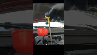 How to check dipstick oil level [upl. by Enawtna436]