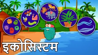 इकोसिस्टम  पारितंत्र  Ecosystem In Hindi  DrBinocs Show  Types Of Ecosystem  Binocs Ki Duniya [upl. by Pembrook]