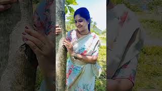 Malliga vaasana manthiram poduthu 🥰reels song trendingvideo [upl. by Norbel485]