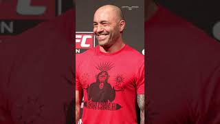 Joe Rogan endorses Trump after Musk interview [upl. by Ahsiat404]