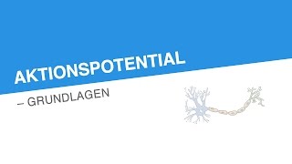 AKTIONSPOTENTIAL – GRUNDLAGEN  Biologie  Neurobiologie und Verhalten [upl. by Loris]