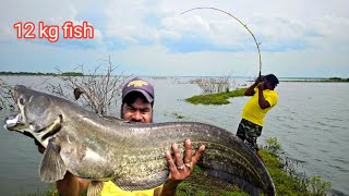 Big Wallago Pathan Fishing  Big Catfish Monster fish  Spoon Fishing Techniques  Fishing Videos [upl. by Nitsur]