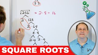 01  Simplify Square Roots with Factor Trees in Algebra Radical Expressions Part 1 [upl. by Naujak]