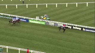 2016 Betway Queen Mother Champion Chase  Sprinter Sacre  Racing TV [upl. by Rooker531]