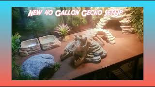 🚨💥New 40 Gallon Leopard Gecko SetUp 💥🚨 [upl. by Peednas700]