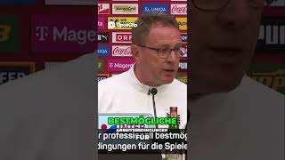 Vertragsverlängerung und das Leistungsprinzip im Fokus österreich fussball worldcup bundesliga [upl. by Enaols]