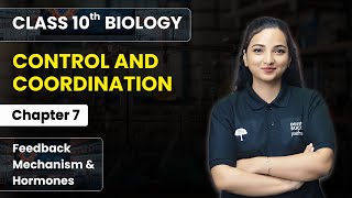 Control amp Coordination  Feedback Mechanism amp Hormones  Class 10 Biology Chapter 7 [upl. by Rolan]