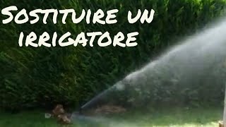 Come sostituire un irrigatore [upl. by Niamreg]