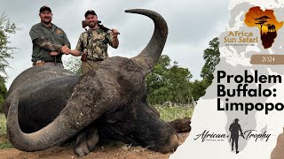 Hunting Problem Buffalo Africa Sun Safaris [upl. by Eyar873]