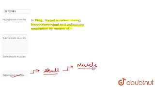 In Frog throat is raised during buccopharyngeal and pulmonary respiration by means of [upl. by Joya]