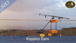 Catching decent carp in windy conditions  Koppies Dam S2E7 [upl. by Eiloj]