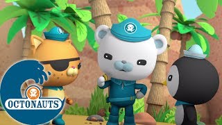 Octonauts  Missions Après Missions  Aventures Sous Les Mers [upl. by Coy645]