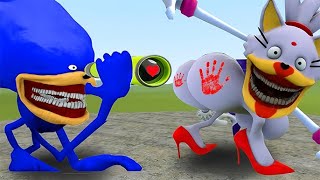 New Shin Sonic Tapes Love Story vs Amy Sonic Tapes Sad Story in Garrys Mod [upl. by Mihsah595]