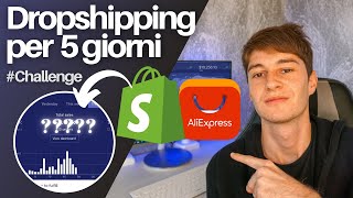 Ho Provato il Dropshipping per 5 Giorni🔥 Challenge partendo da 0 [upl. by Fry]