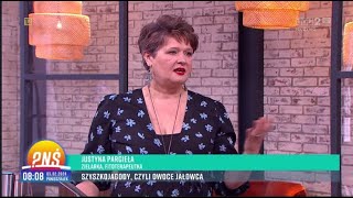 Szyszkojagody jałowca  Justyna Pargieła w PNŚ [upl. by Yelir577]